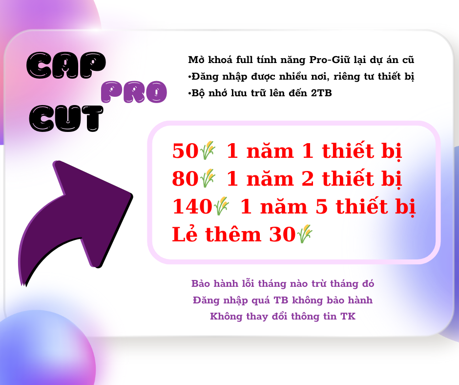 CAPCUT